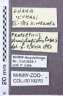 Etiketten zu Mulsanteus subopacus (NHMW-ZOO-COL-0010270)